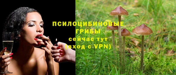амф Зеленокумск