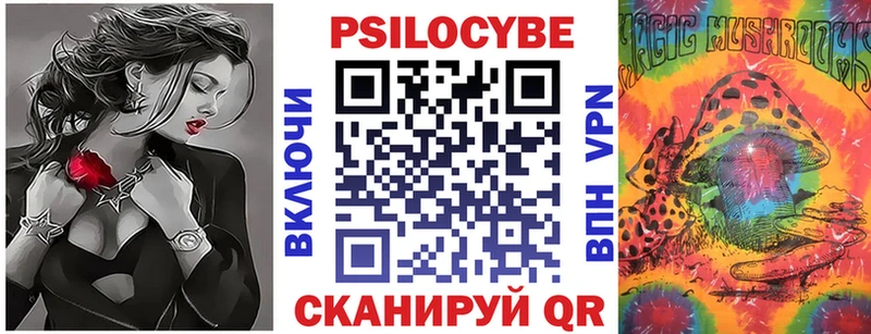 Купить Духовщина Галлюциногенные грибы Cubensis