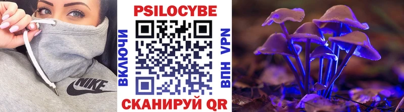 Галлюциногенные грибы MAGIC MUSHROOMS Духовщина